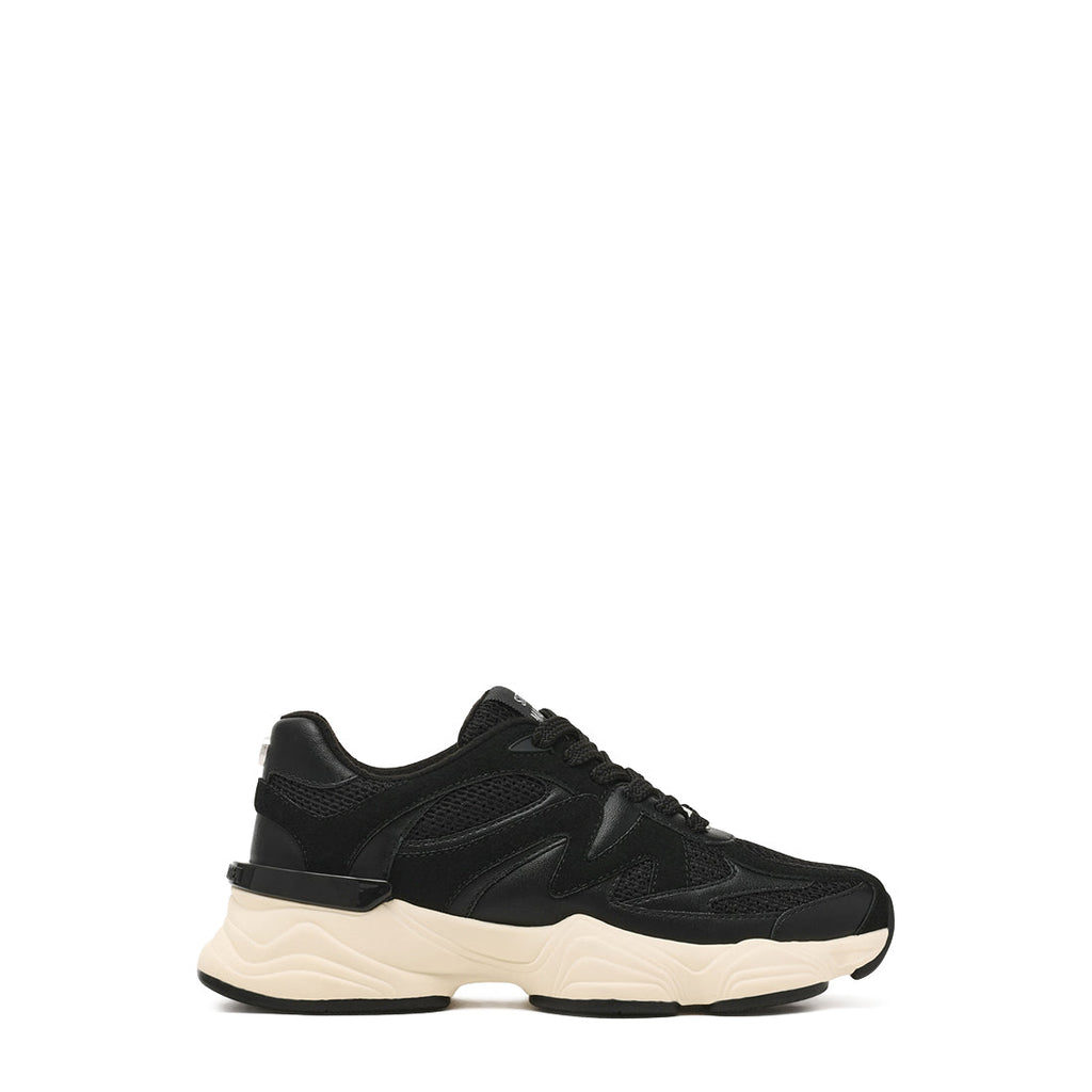 SETTI BLACK MULTI