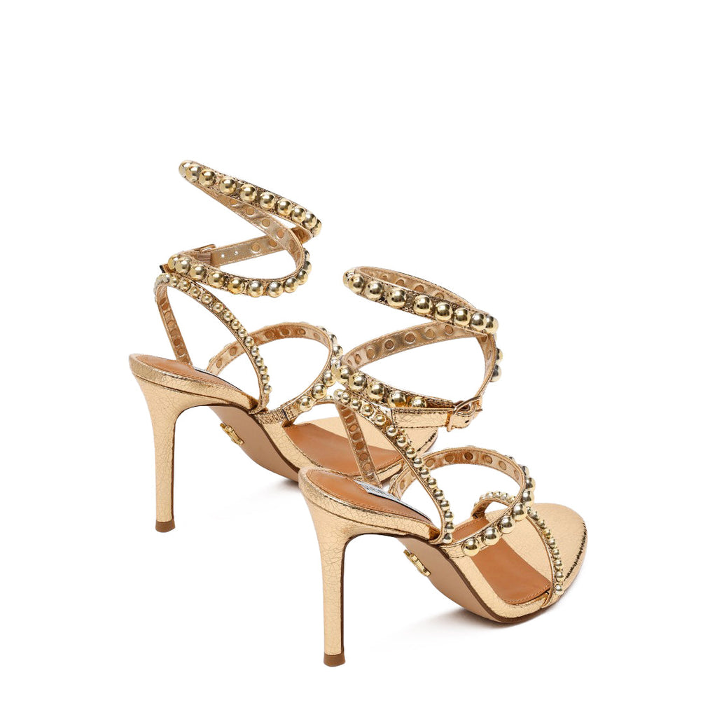 TEENA GOLD MULTI